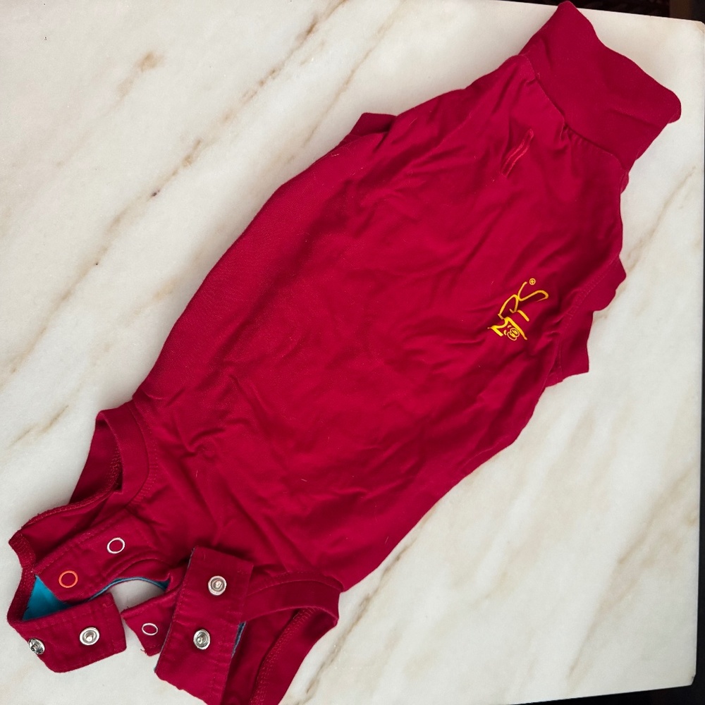Red Cat Onesie/Recovery Suit